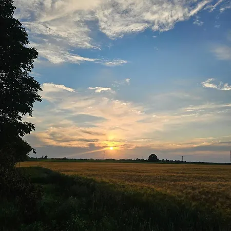 Bauernhof - Leben In Der